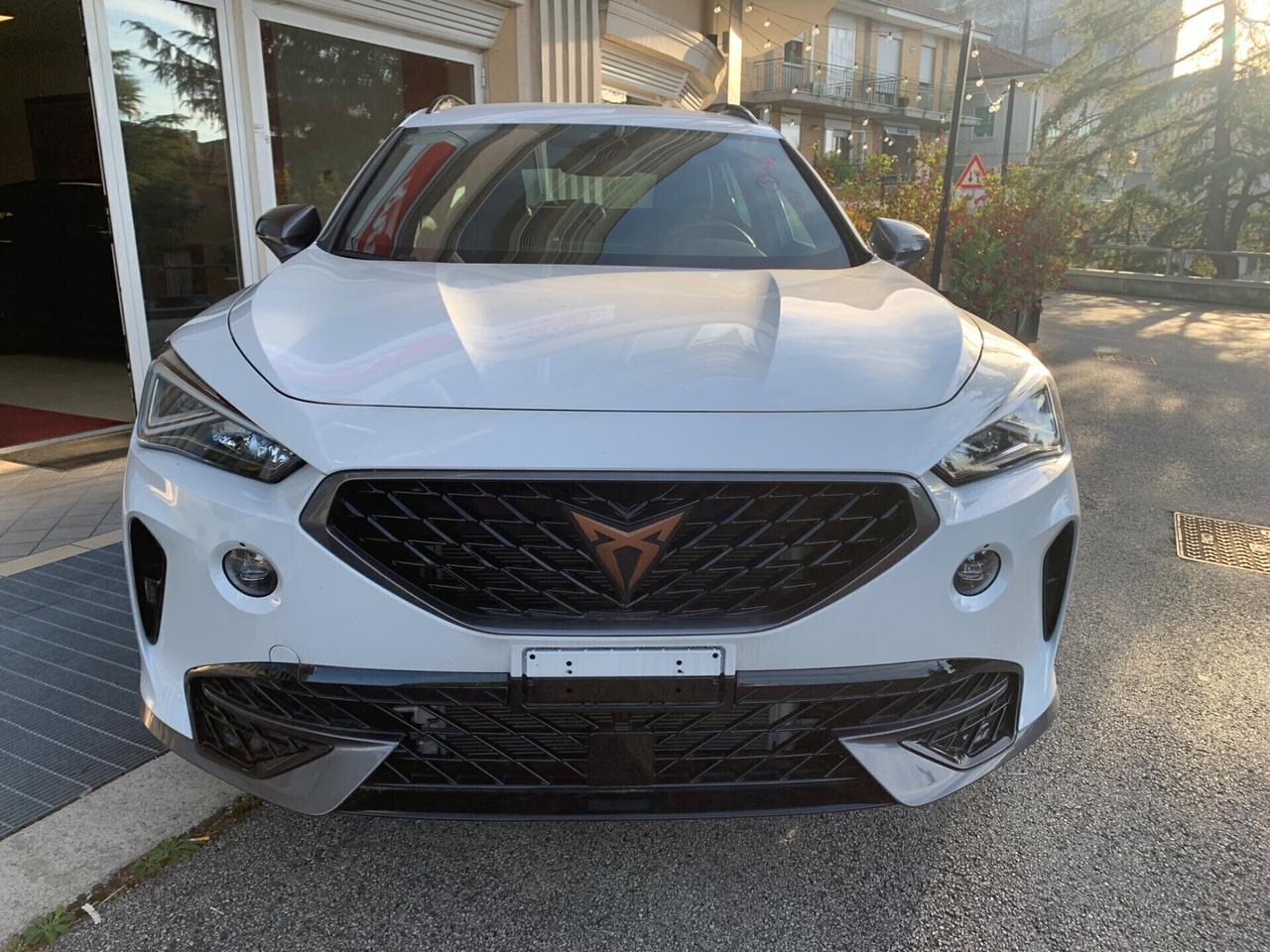 Cupra Formentor 2.0 TDI 4Drive DSG