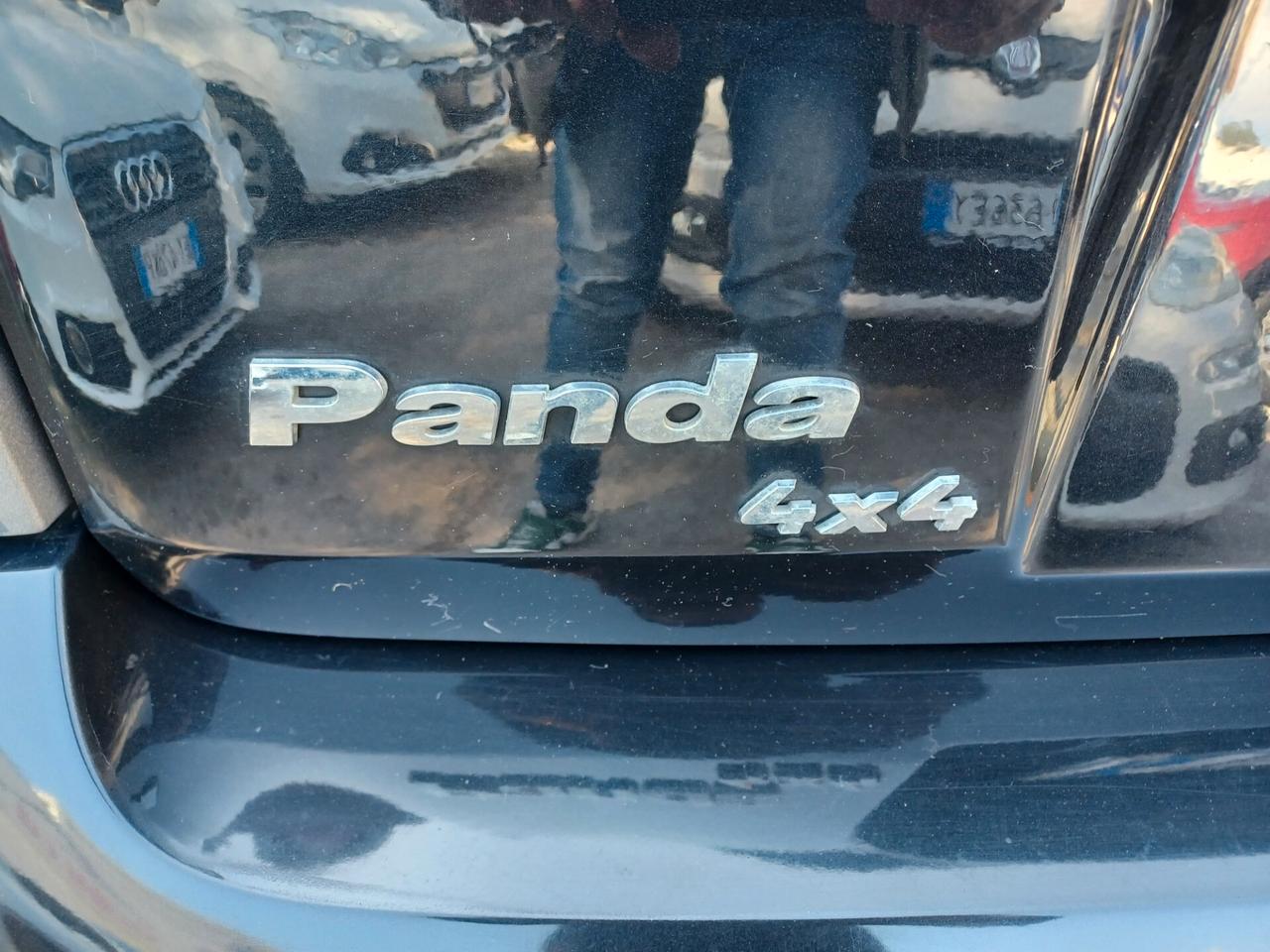 Fiat Panda 1.3 MJT 4x4 Cross CON ELD ANNO 2011