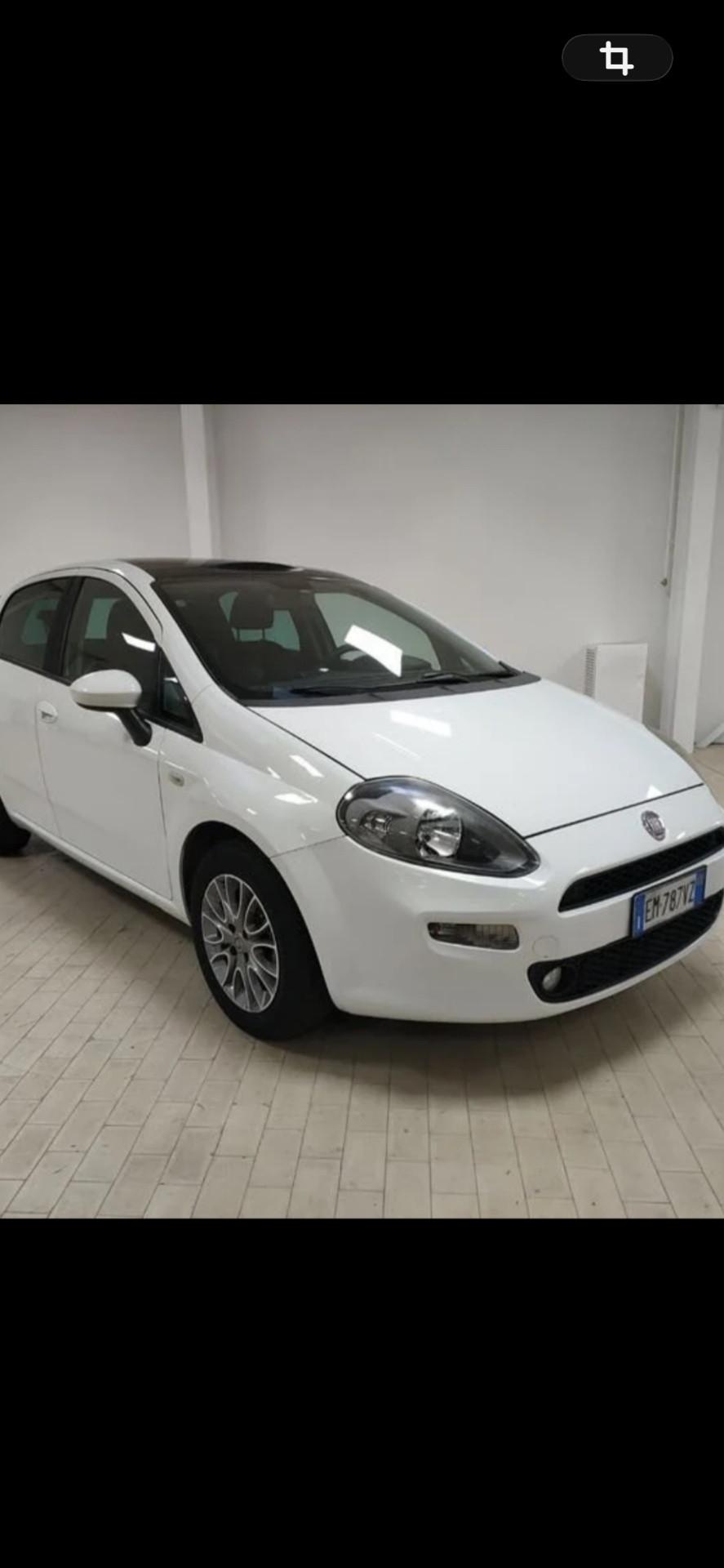 Fiat Punto 1.3 MJT II S&S 95 CV 5 porte NEOPATENTATI