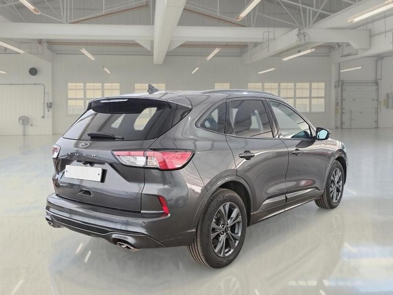 FORD KUGA 2.0 EcoBlue 120CV 2WD ST-Line Business Auto