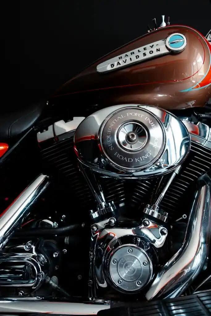 Harley-davidson 1450 Road King