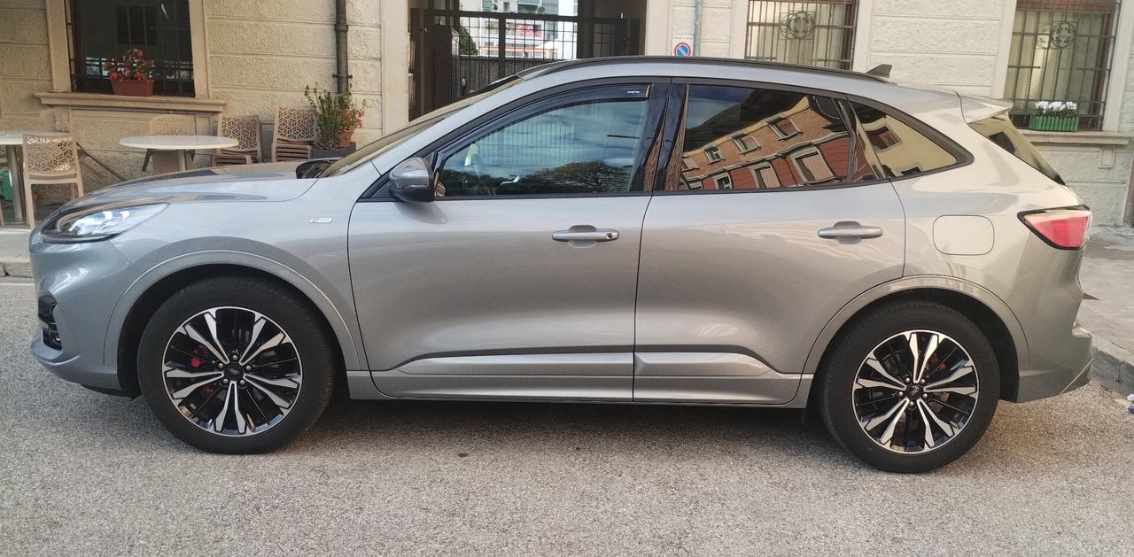 Ford Kuga 2.0 EcoBlue 150CV aut. AWD ST-Line X