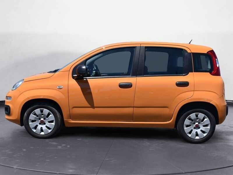 FIAT Panda Panda 1.2 Pop