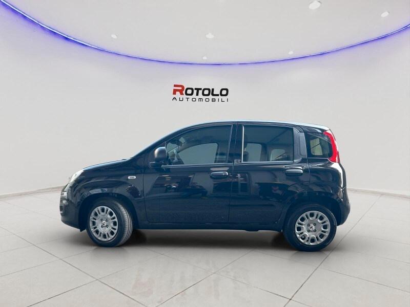 FIAT Panda 3ª serie Panda 1.0 FireFly S&S Hybr...