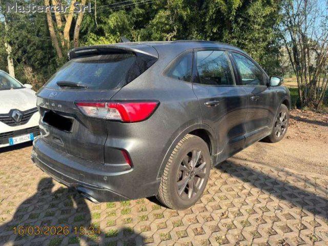 FORD Kuga Kuga 1.5 ecoblue ST-Line 2wd 120cv Auto - GJ998JE