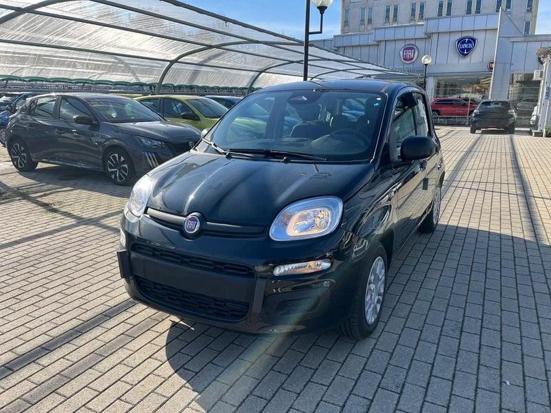 FIAT Panda Panda 1.0 FireFly S&S Hybrid Icon