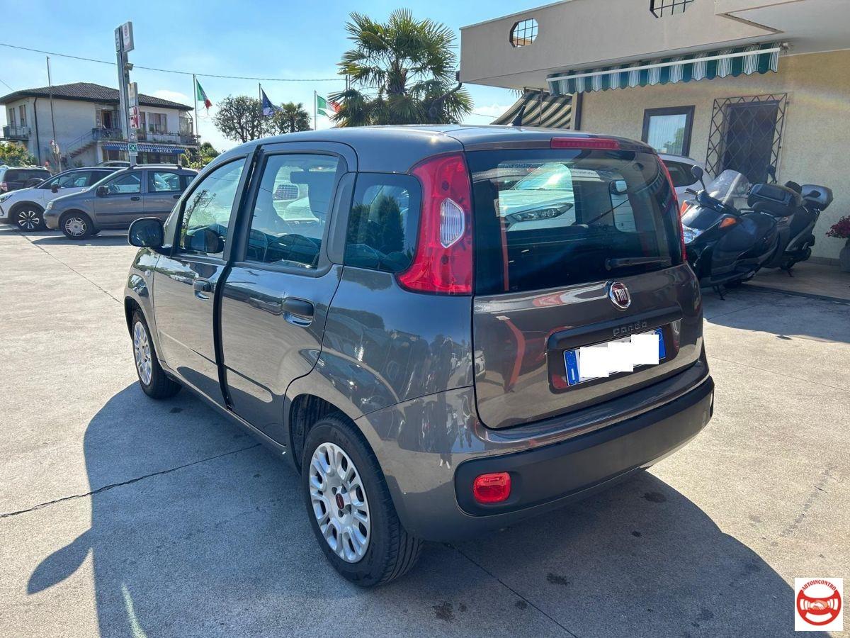 FIAT - Panda 1.2 Easy easypower Gpl 69cv my19