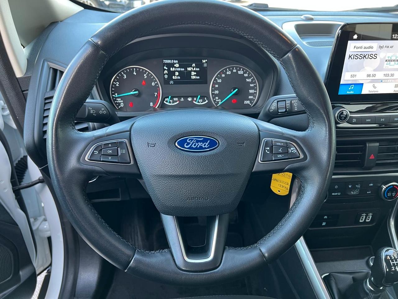 Ford EcoSport 1.0 EcoBoost 100 CV Business