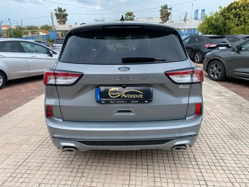 Ford Kuga 2.0 EcoBlue 120 CV aut. 2WD ST-Line