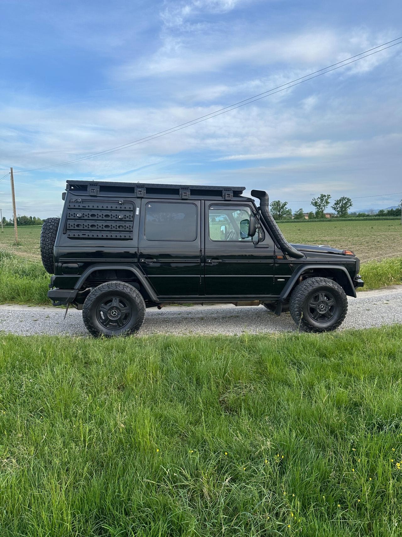 Mercedes-benz G 300 Professional
