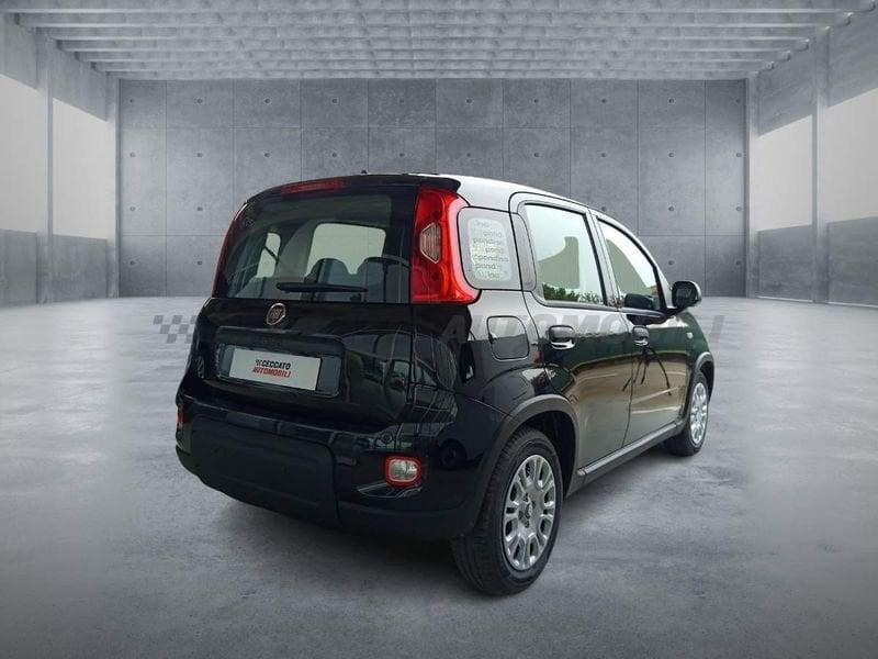 FIAT Panda Panda 1.0 70cv Hybrid Panda