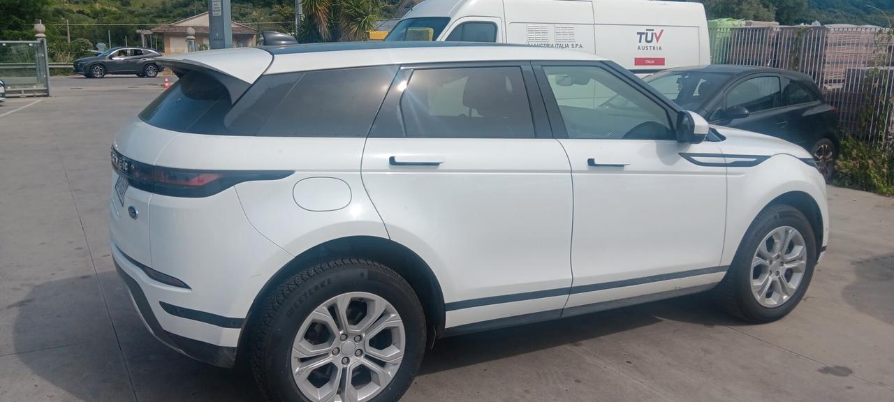 Land Rover Range Evoque 1.5 I3 160 CV Auto SE