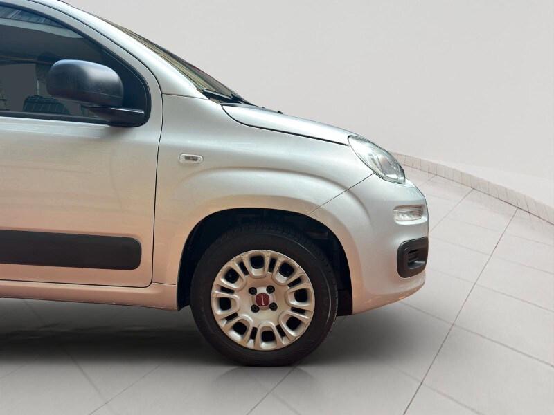 FIAT Panda 3ª serie Panda 1.2 Easy