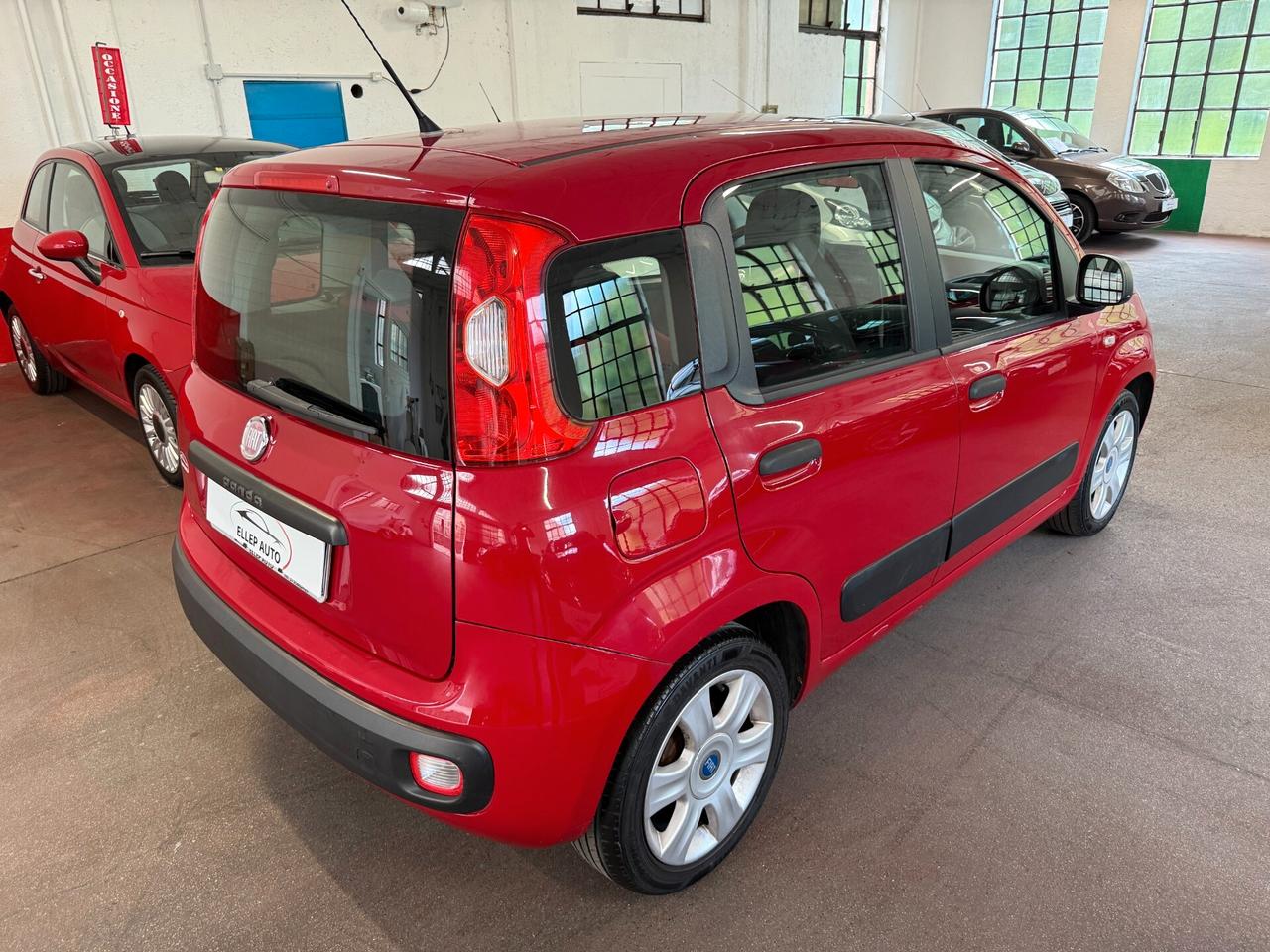 Fiat Panda 1.2 OK NEOPATENTATI - CINGHIA OK