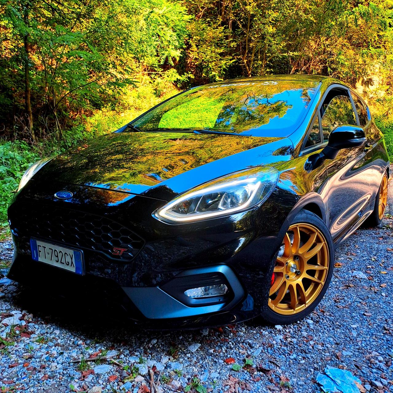 FIESTA ST200cv Performance - Tetto apribile