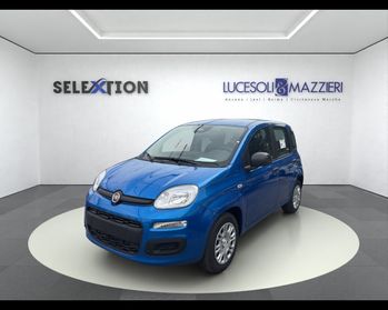 FIAT Panda 3ª serie - Panda 1.0 FireFly S&S Hybrid