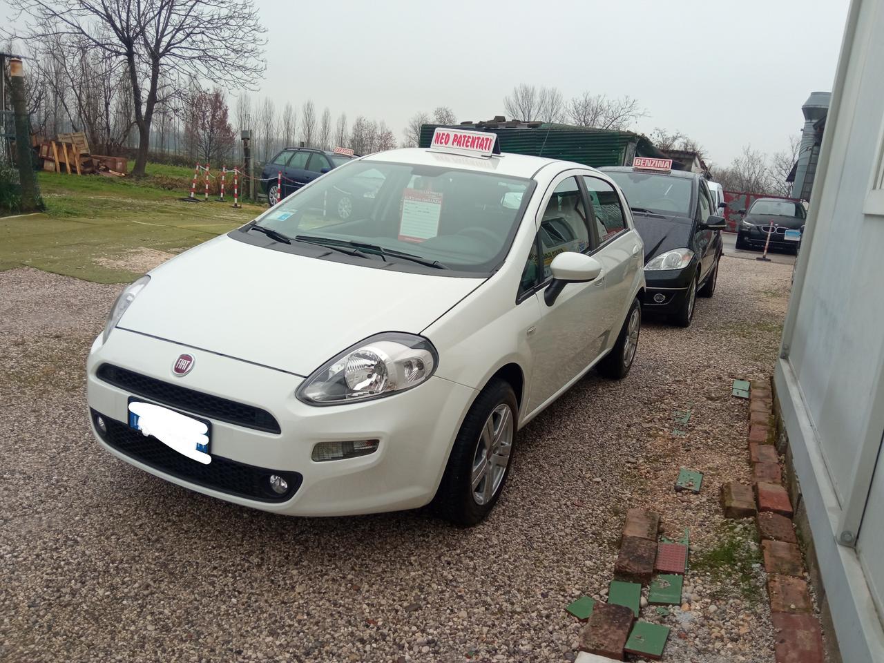 Fiat Punto Evo 1.3 MTJ VAN 5 POSTI 2017