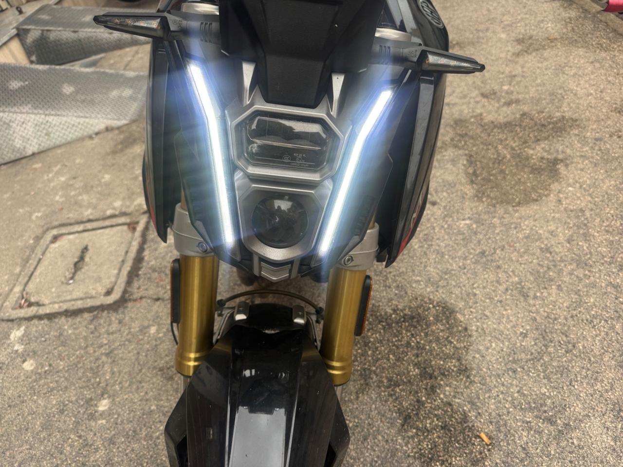 Morbidelli M502N
