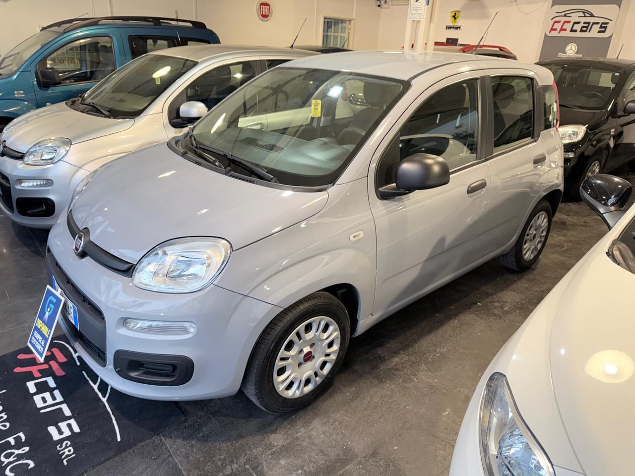 Fiat Panda 1.2 Easy