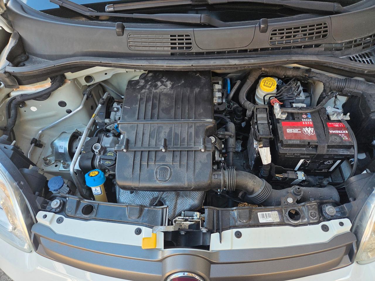 FIAT PANDA K-WAY 1.2 BENZ SOLI KM 80000 CERTIFICATI