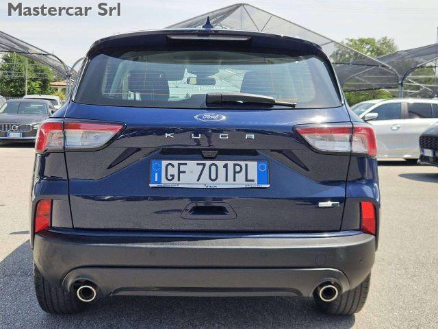 FORD Kuga 2.0 ecoblue mhev Titanium Business 2wd 150cv tg :