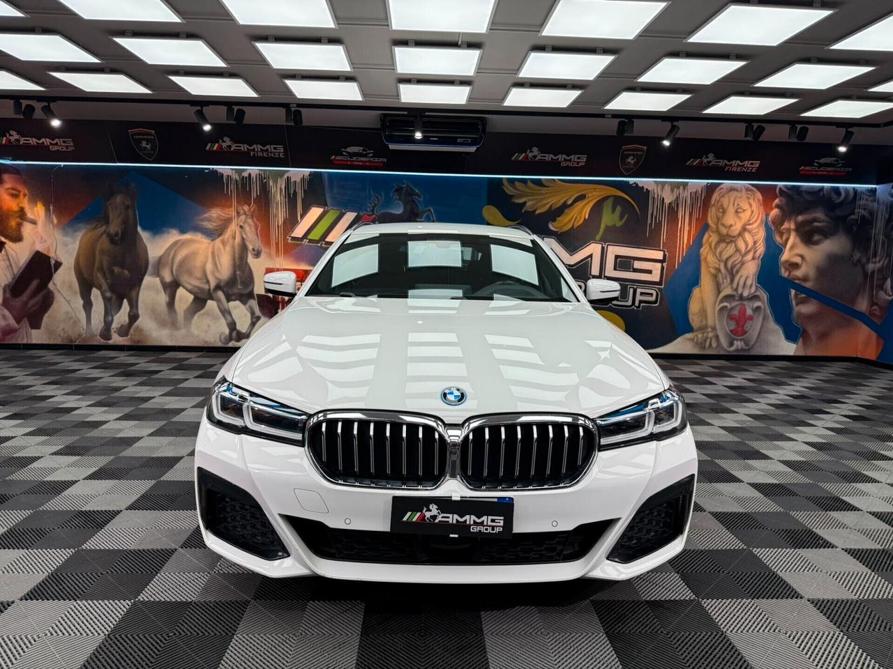 Bmw 530e xDrive Touring Business (648)