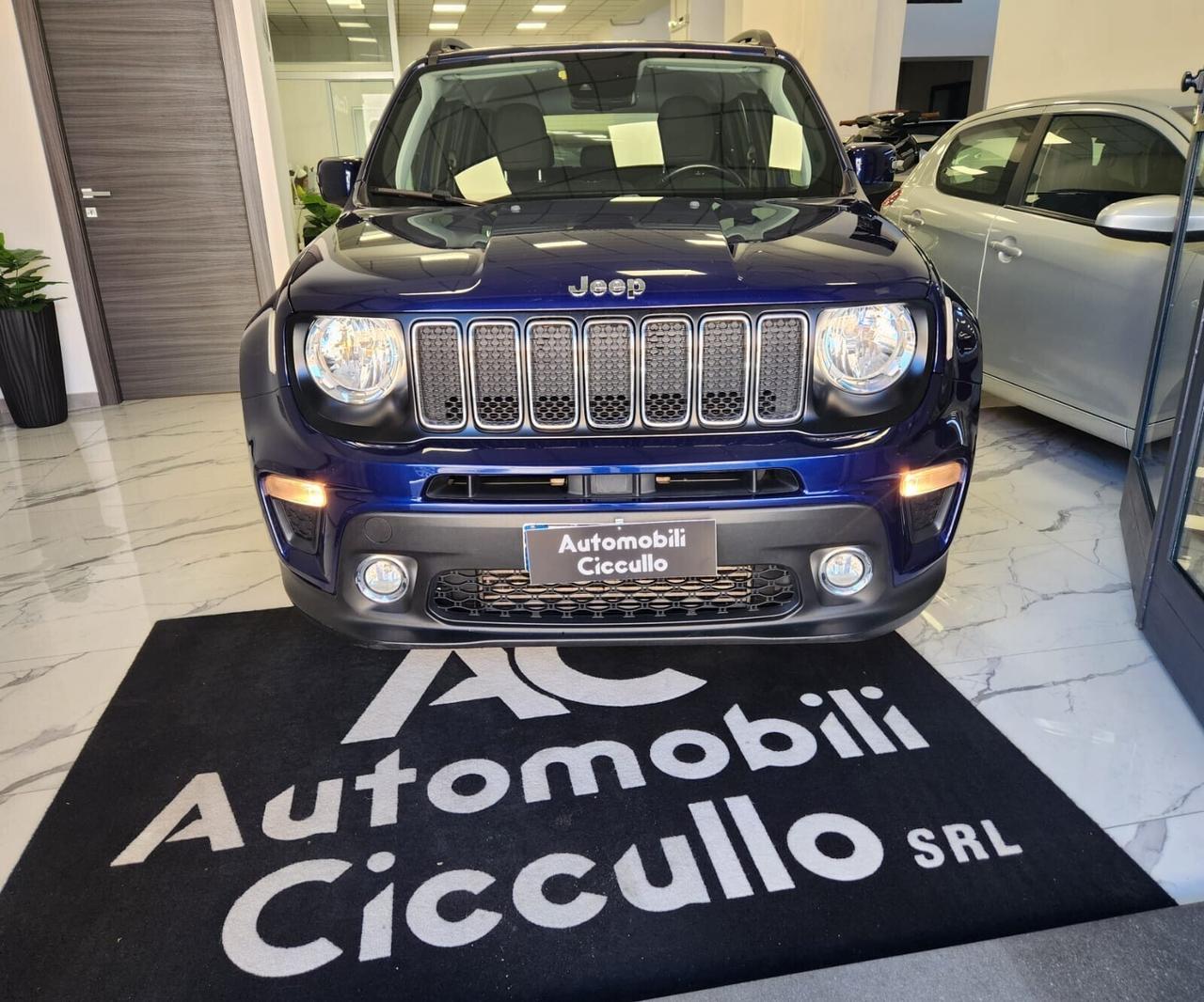 Jeep Renegade 1.6 Mjt 120 CV Longitude