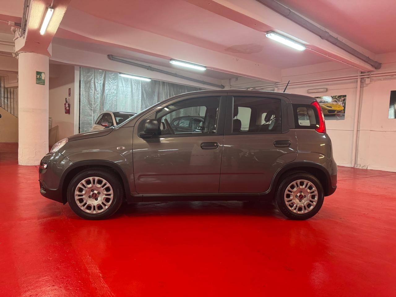 Fiat Panda 1.0 FireFly S&S Hybrid con soli 25000km