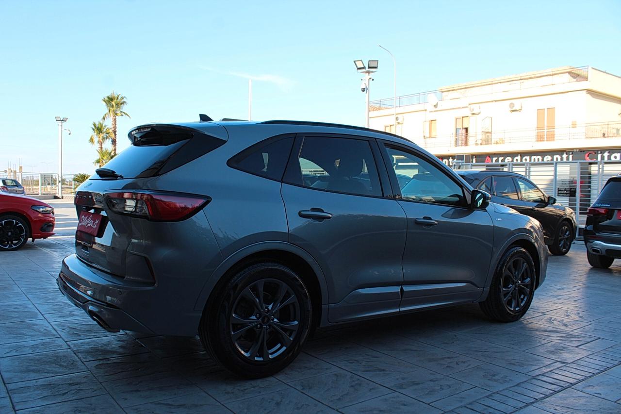 Ford Kuga 1.5 EcoBlue 120 CV aut. 2WD ST-Line X