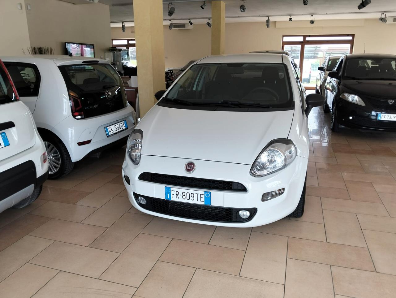 Fiat Punto 1.3 MJT II S&S 95 CV 5 porte Street