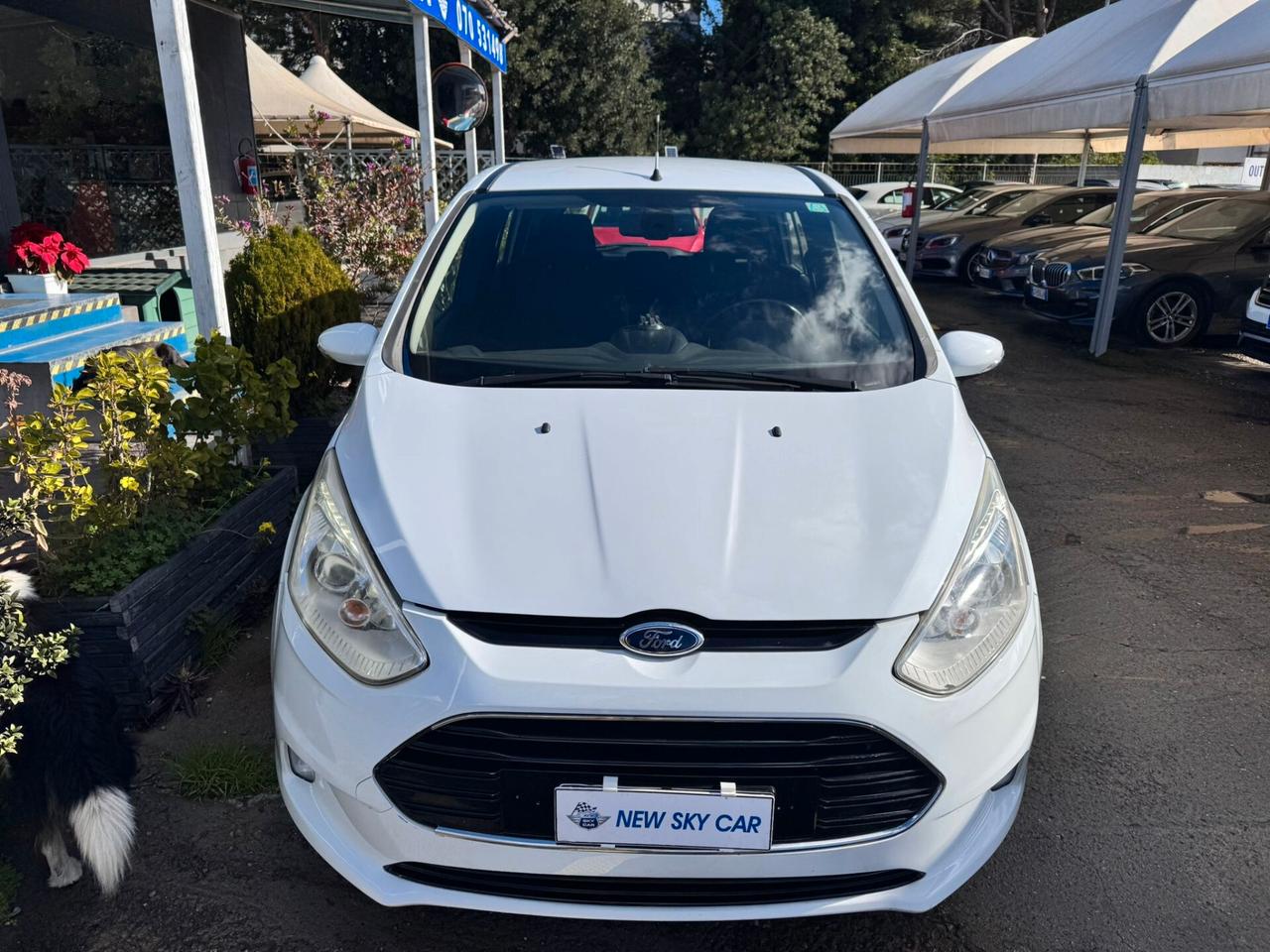 Ford B-Max 1.5 TDCi 75 CV Business