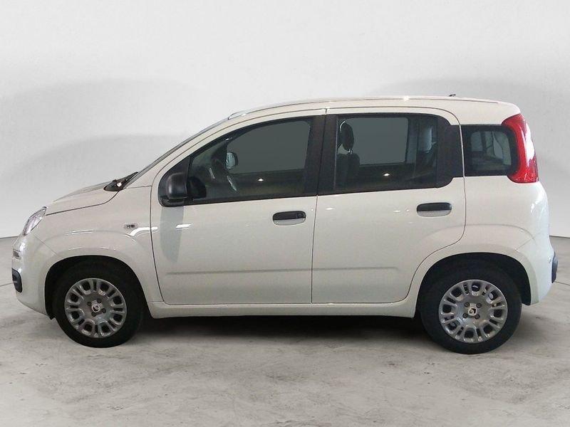 FIAT Panda NEW My25 1.0 70cv Hybrid Panda