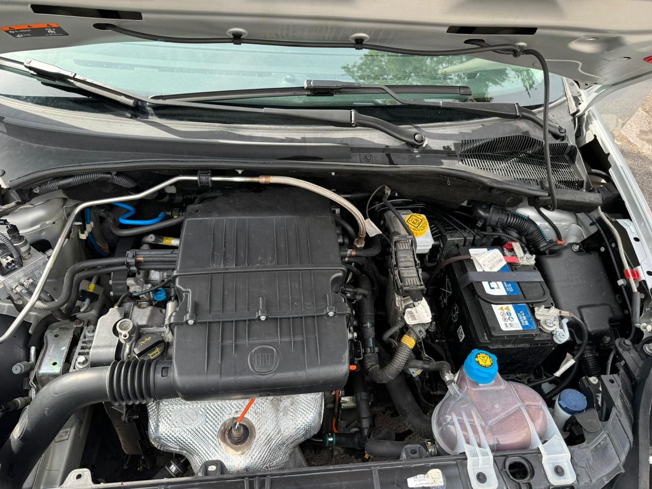 Fiat Punto 1.4 8V 2018 tagliandata e garantita