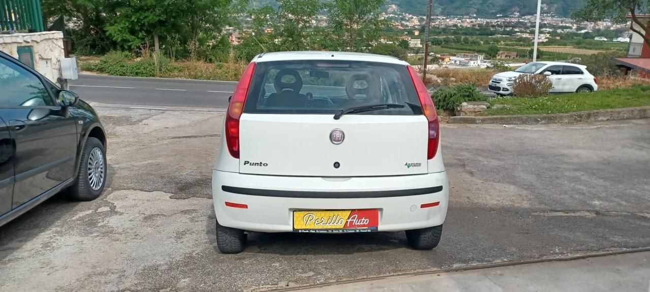 Fiat Punto Classic 1.2 5 porte Natural Power Active