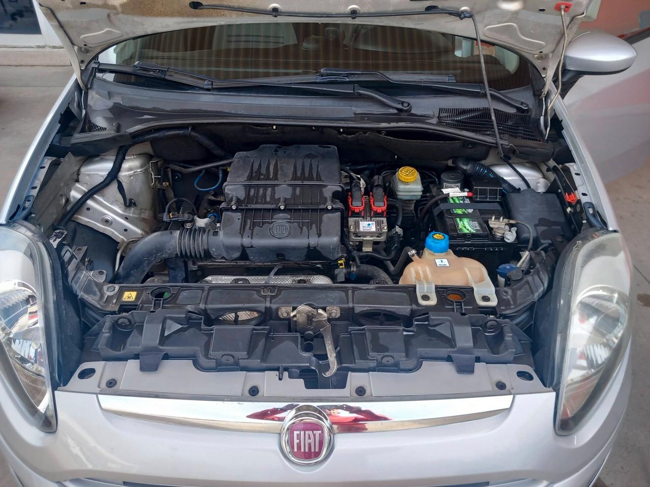 Fiat Punto Evo 1.2 5 porte Active perfetta km 134000 distr. nuova friz.nuova