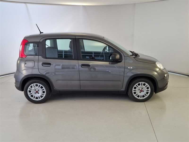 FIAT PANDA 1.0 70cv S/S Hybrid City Life 5 PORTE