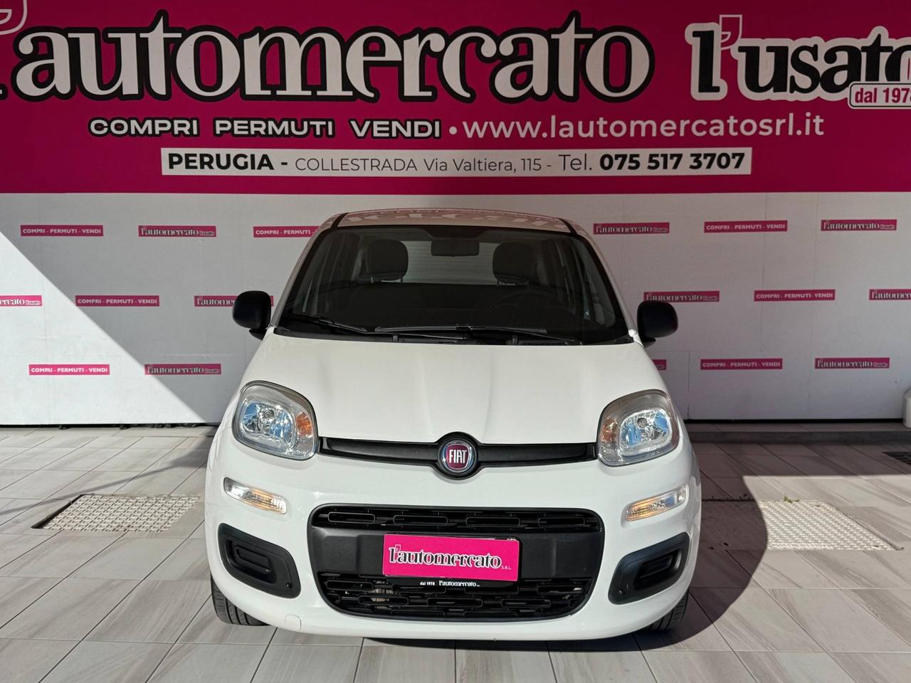 FIAT Panda 3ª serie Panda 1.2 Easy