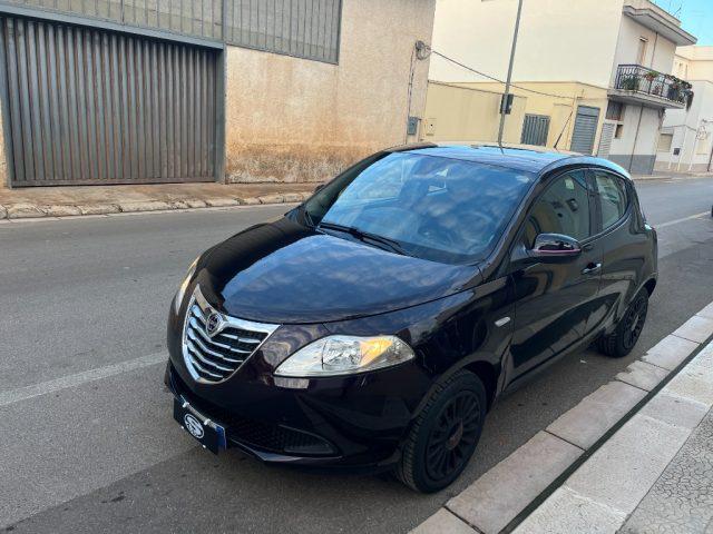 LANCIA Ypsilon 1.2 69 CV Elefantino Rosa