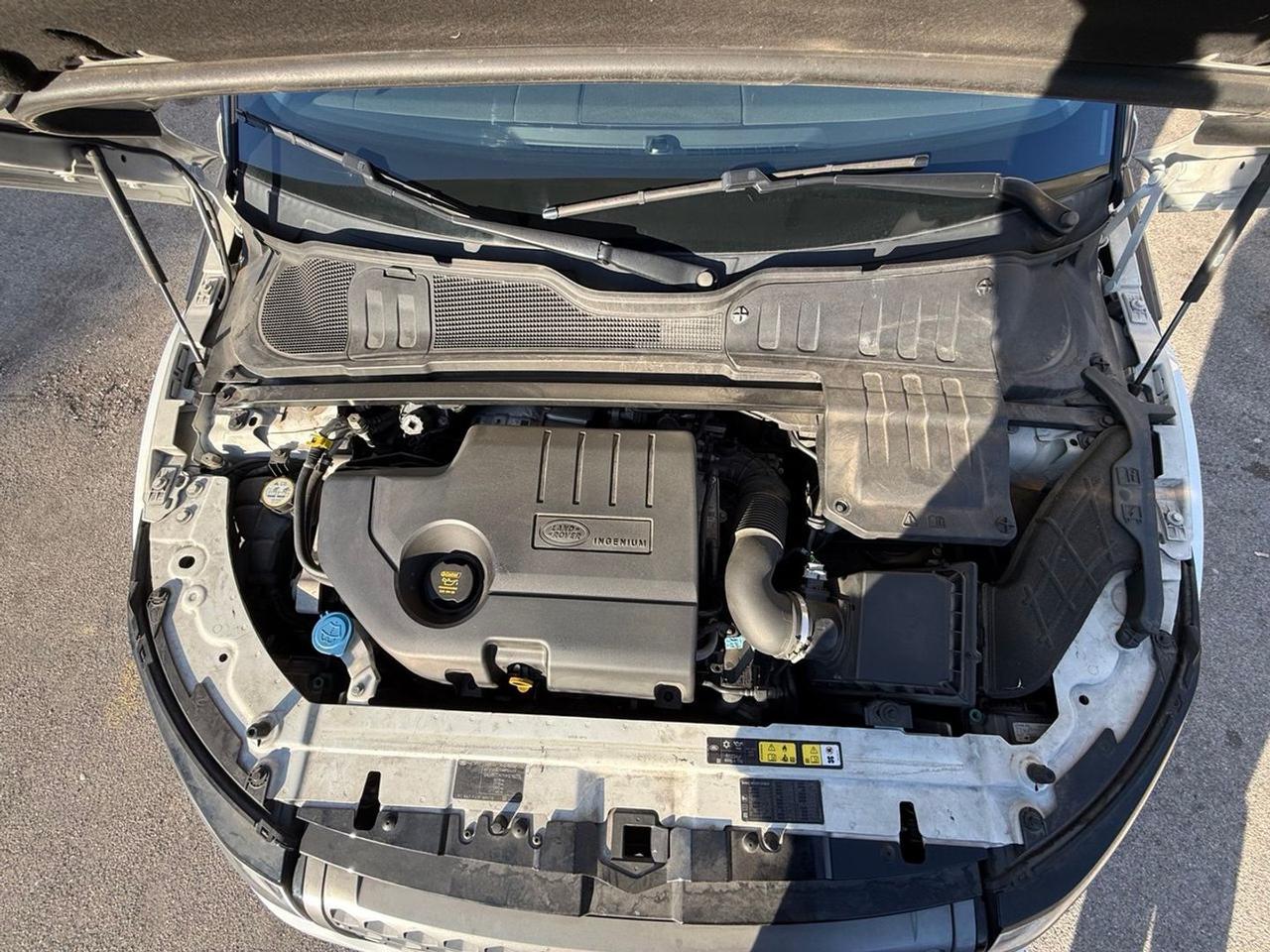 Land Rover Range Rover Evoque SE Dynamic eD4 #8853