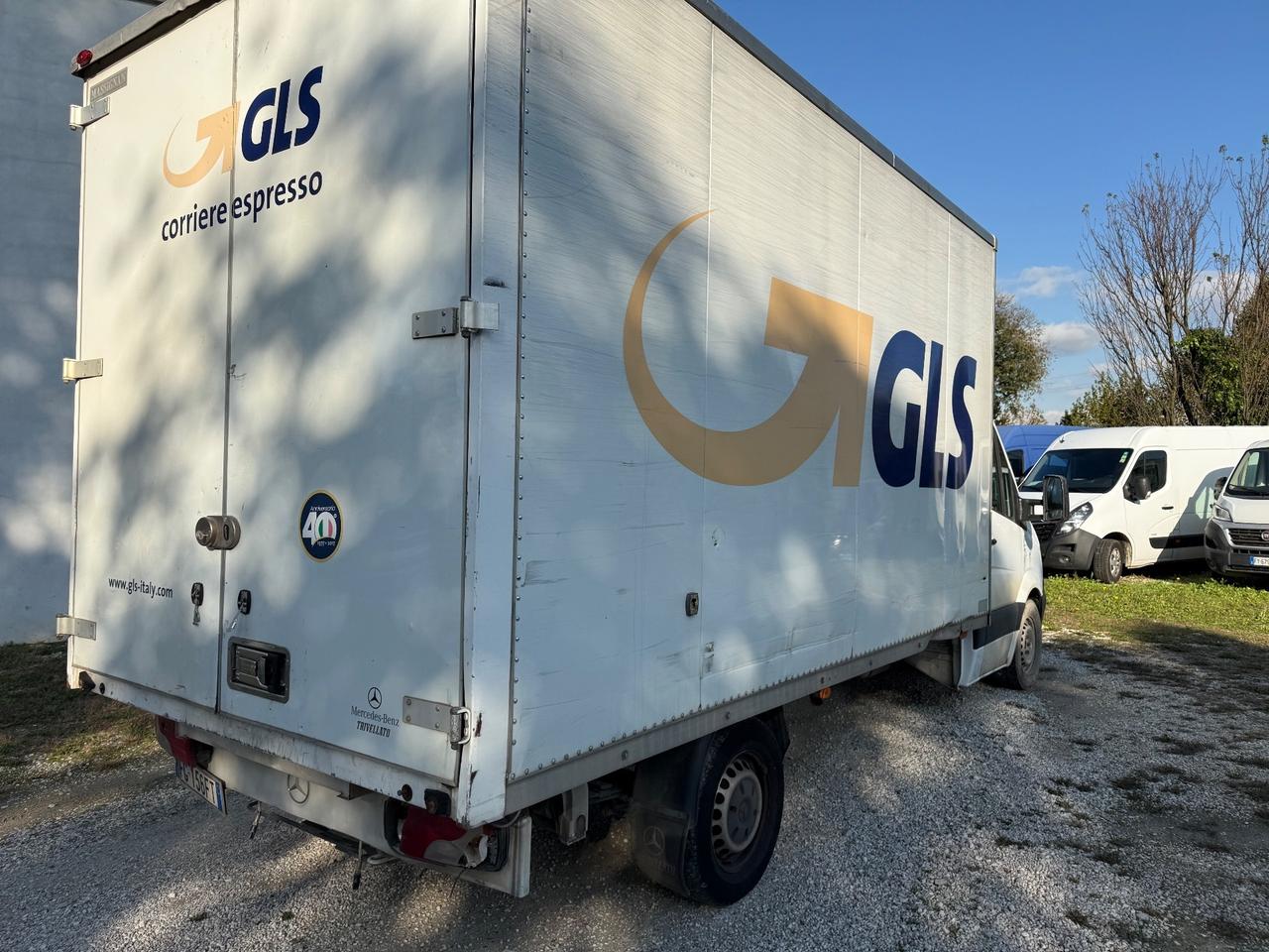 Mercedes-benz Sprinter F32/35 316 CDI TN Furgone Pro