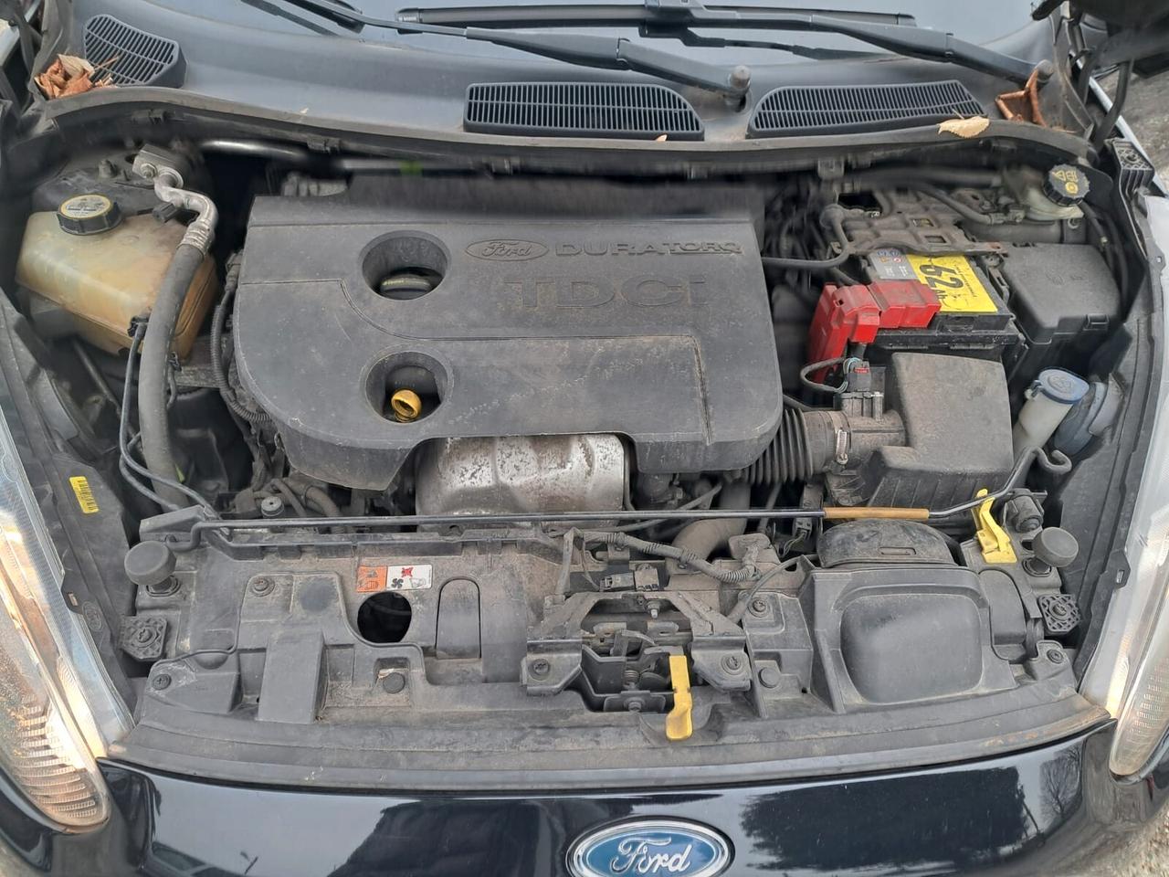 Ford Fiesta 1.5 TDCi 75CV 5 porte Titanium-neopatentati