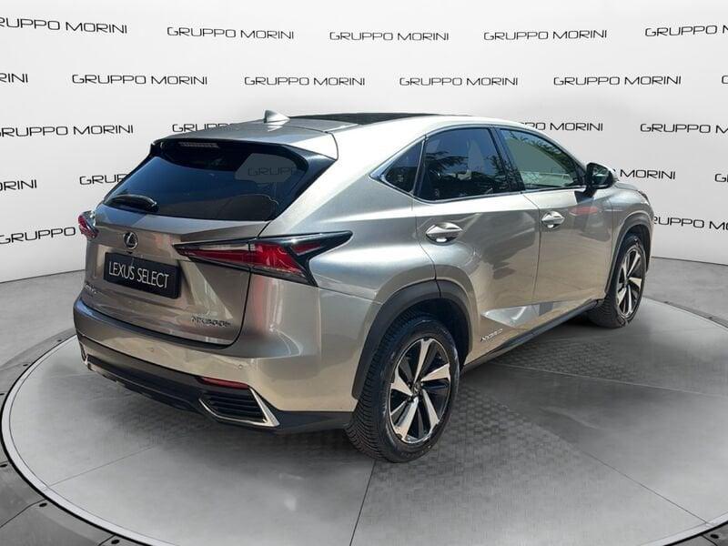 Lexus NX NX 300h 2.5 Luxury 4wd cvt