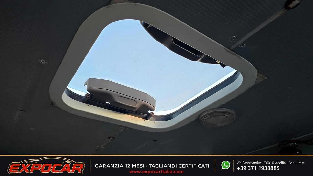 Iveco Daily - Trasporto Cavalli