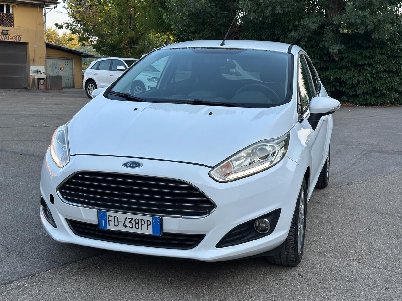 Ford Fiesta 1.4 5 porte Bz.- GPL Black & White Edition