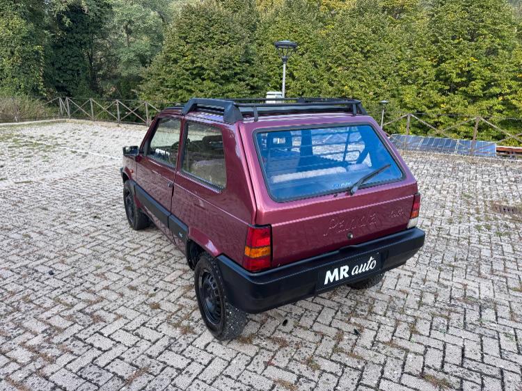 Fiat Panda 1.1 Fire Trekking 4x4 cat.