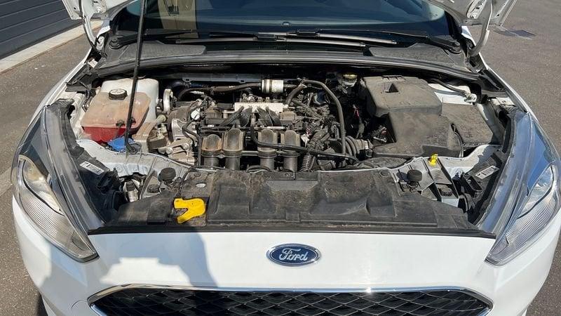 Ford Focus 5 Porte 1.6 120cv Plus