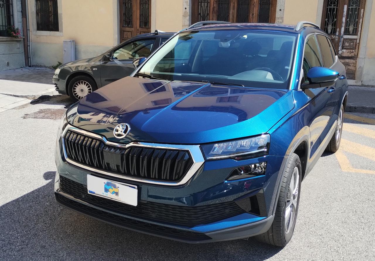 Skoda Karoq 2.0 TDI EVO SCR 115 CV DSG Executive