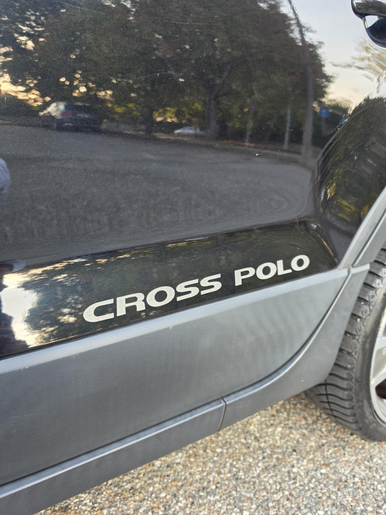Volkswagen Polo Cross neopatentati
