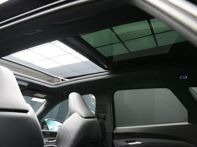 AUDI Q5 TDI 204CV mHEV+ quattro S tronic S line edition