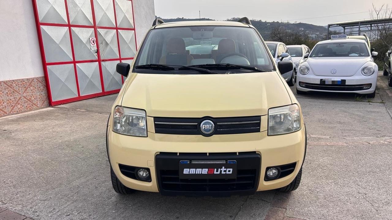 Fiat Panda 1.2 Benz 60cv 4x4